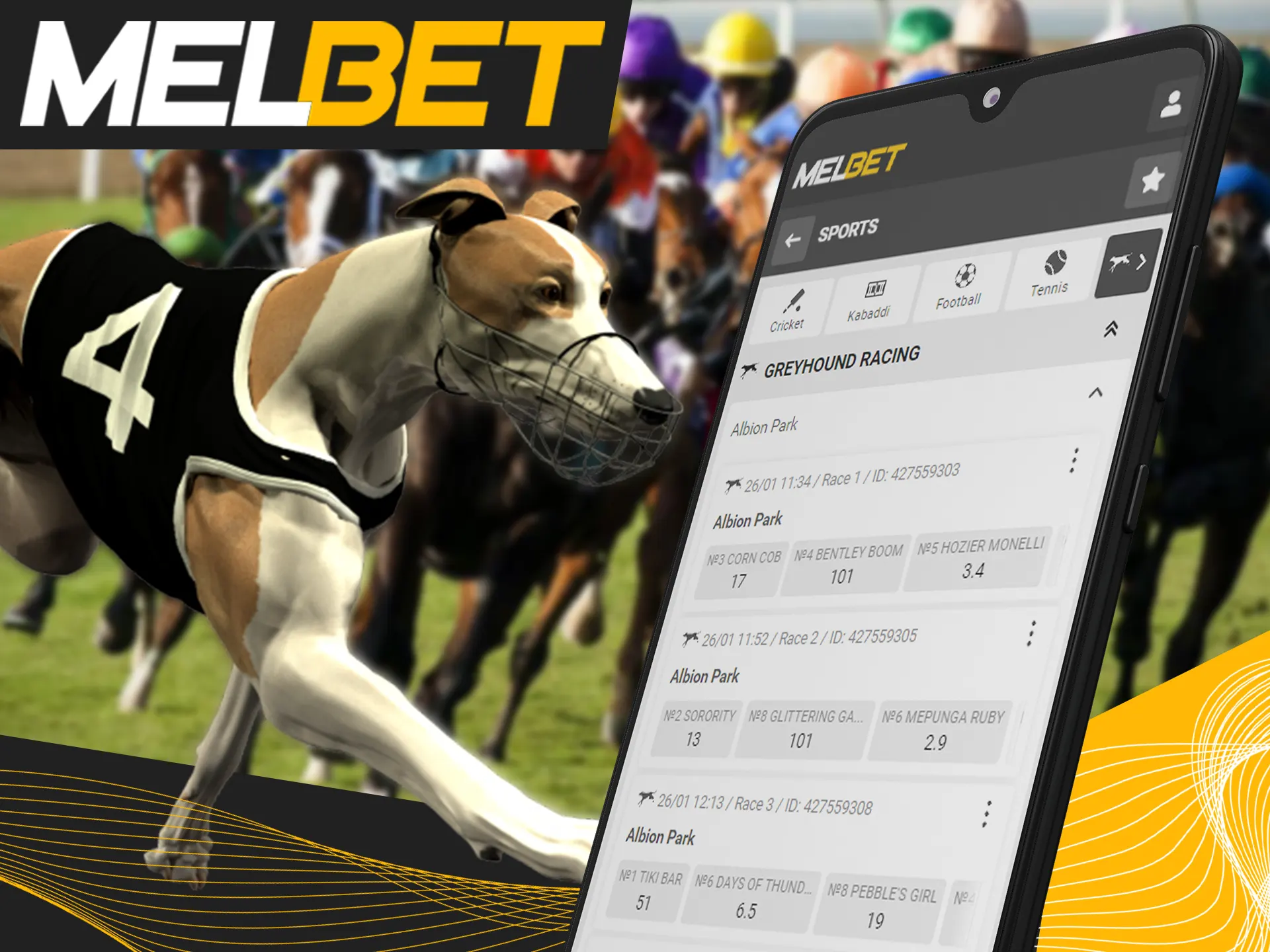Bet on various virtual sports at Melbet.
